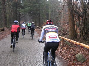 Kattendorf 049
